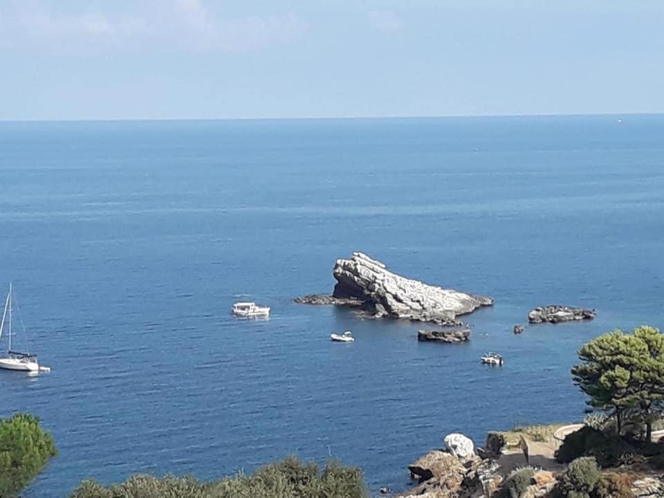 Cocciu D'Amuri تيراسيني المظهر الخارجي الصورة