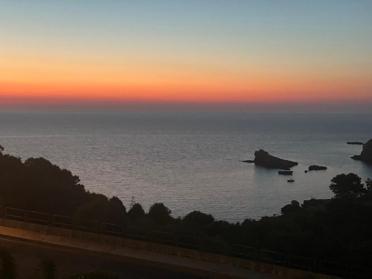 Cocciu D'Amuri تيراسيني المظهر الخارجي الصورة